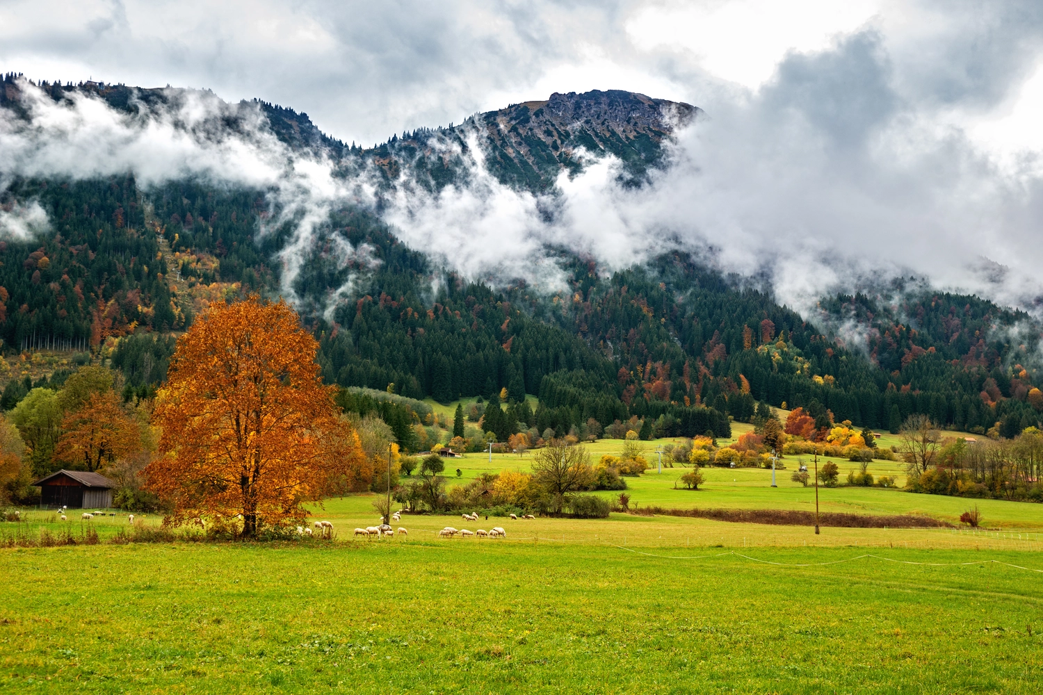 ERHOLUNG DE LUXE - Wandern mit Achtsamkeit Allgäu - Der Breitenberg mit seinen herbstlichen Almwiesen in Pfronten, Bayern, Deutschland